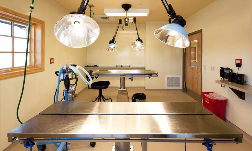 SPCA Exam Room